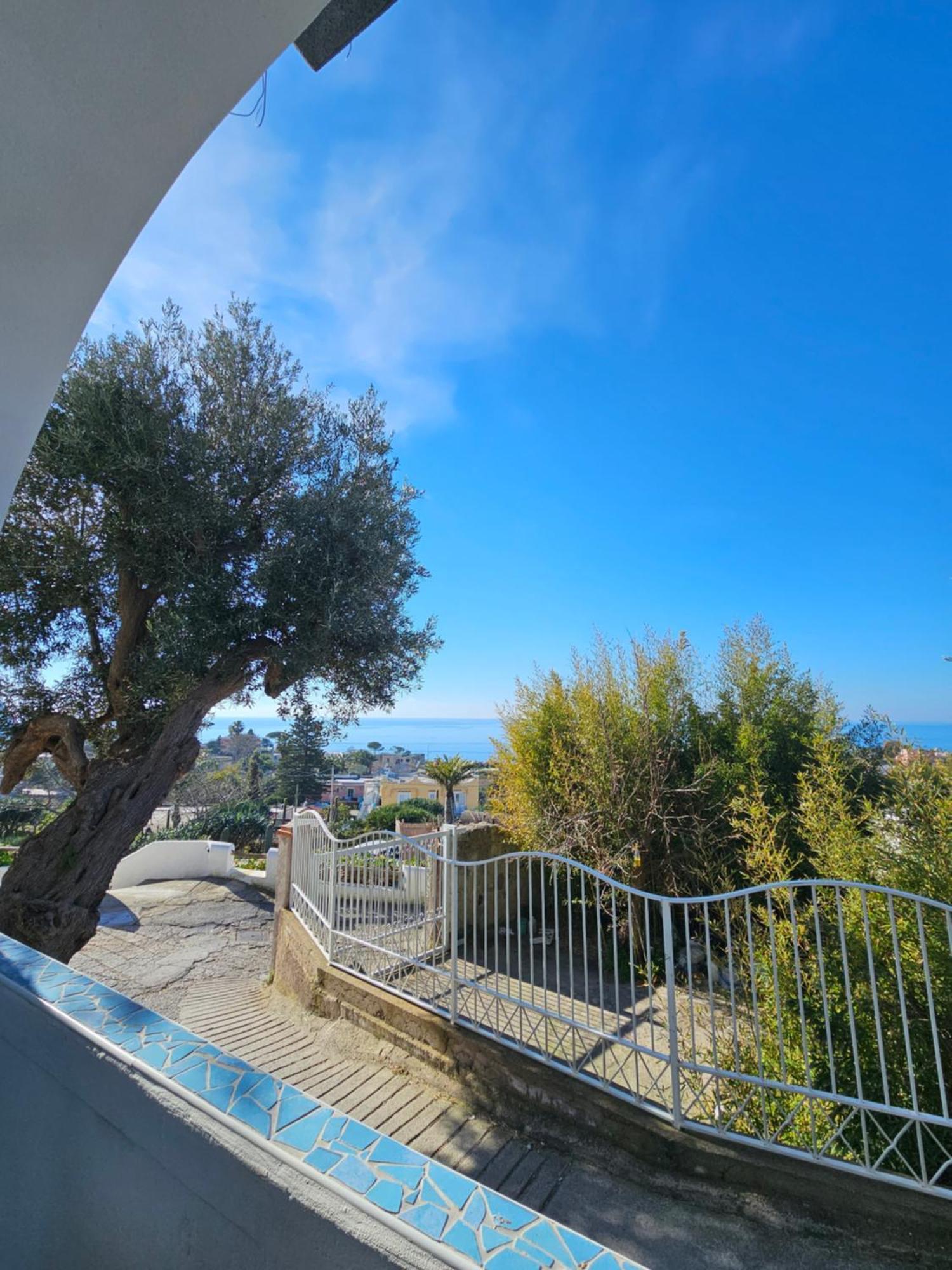 Residence Limoneto Ischia Forio di Ischia Exteriör bild