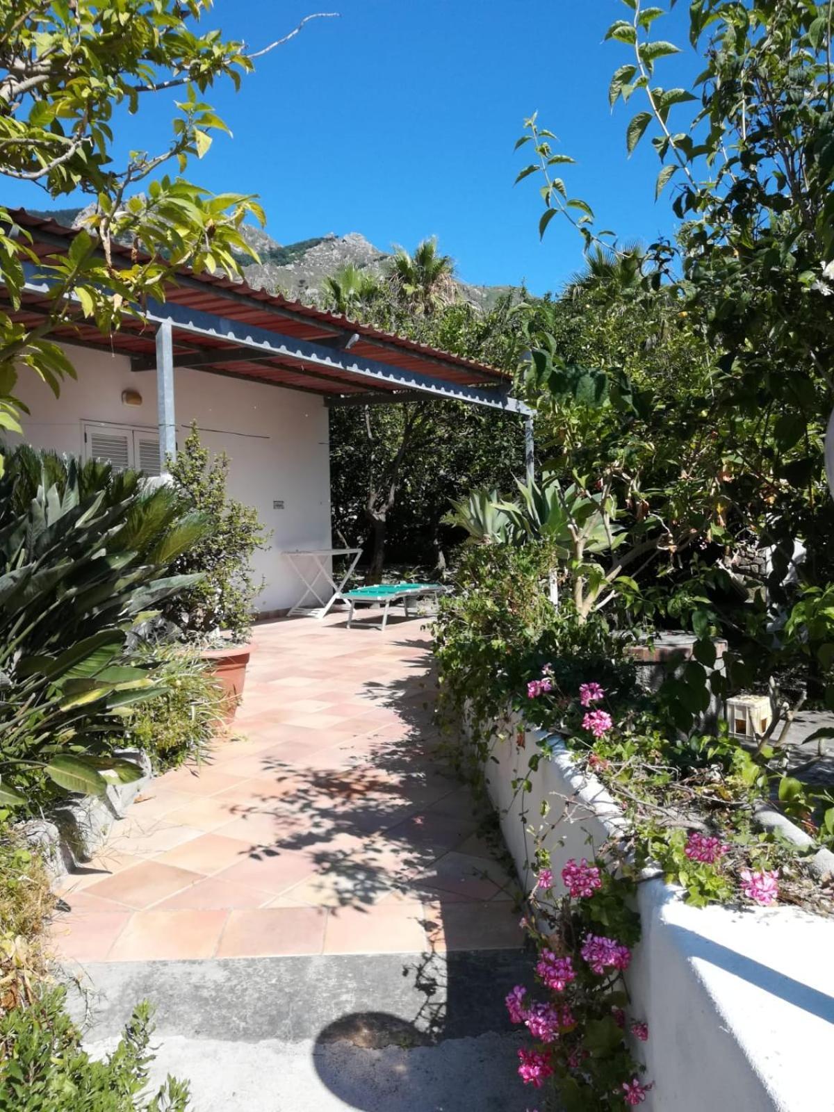 Residence Limoneto Ischia Forio di Ischia Exteriör bild