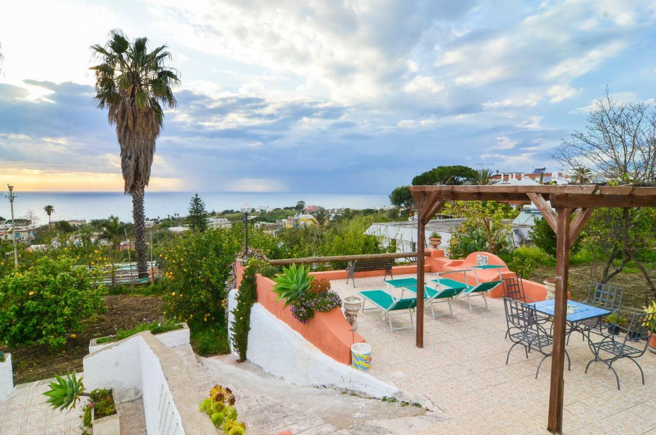 Residence Limoneto Ischia Forio di Ischia Exteriör bild