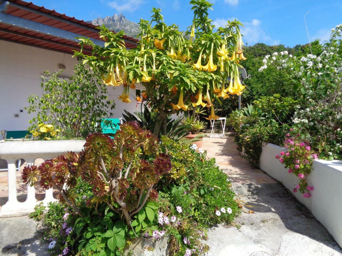 Residence Limoneto Ischia Forio di Ischia Exteriör bild