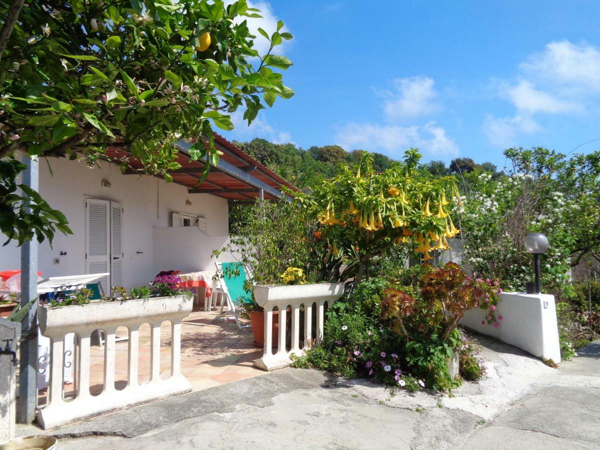 Residence Limoneto Ischia Forio di Ischia Exteriör bild