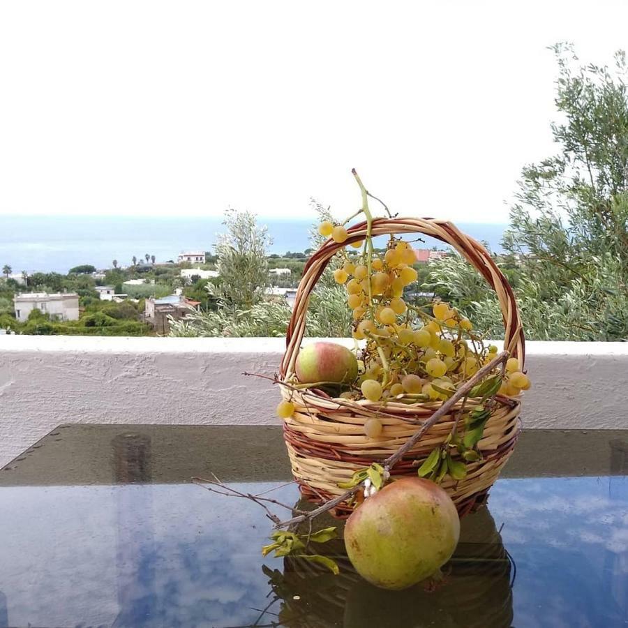 Residence Limoneto Ischia Forio di Ischia Exteriör bild