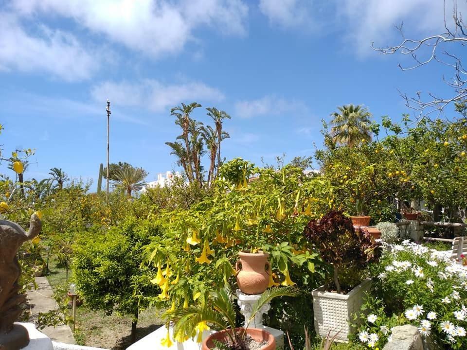 Residence Limoneto Ischia Forio di Ischia Exteriör bild