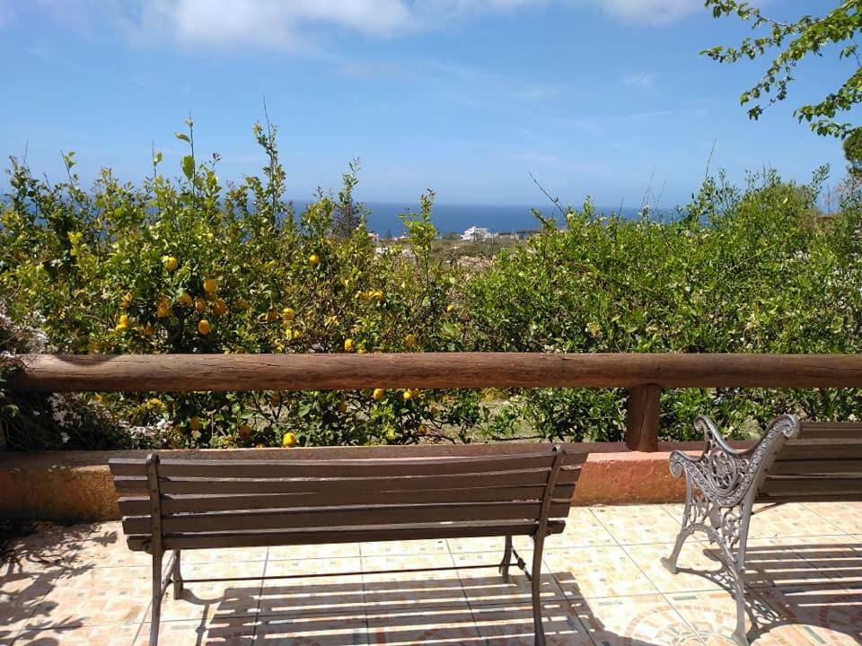 Residence Limoneto Ischia Forio di Ischia Exteriör bild