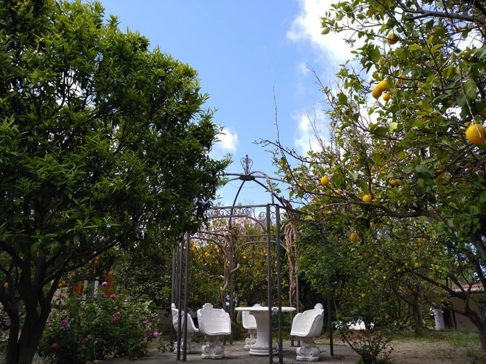 Residence Limoneto Ischia Forio di Ischia Exteriör bild